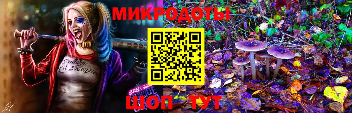 Галлюциногенные грибы Psilocybine cubensis Хабаровск