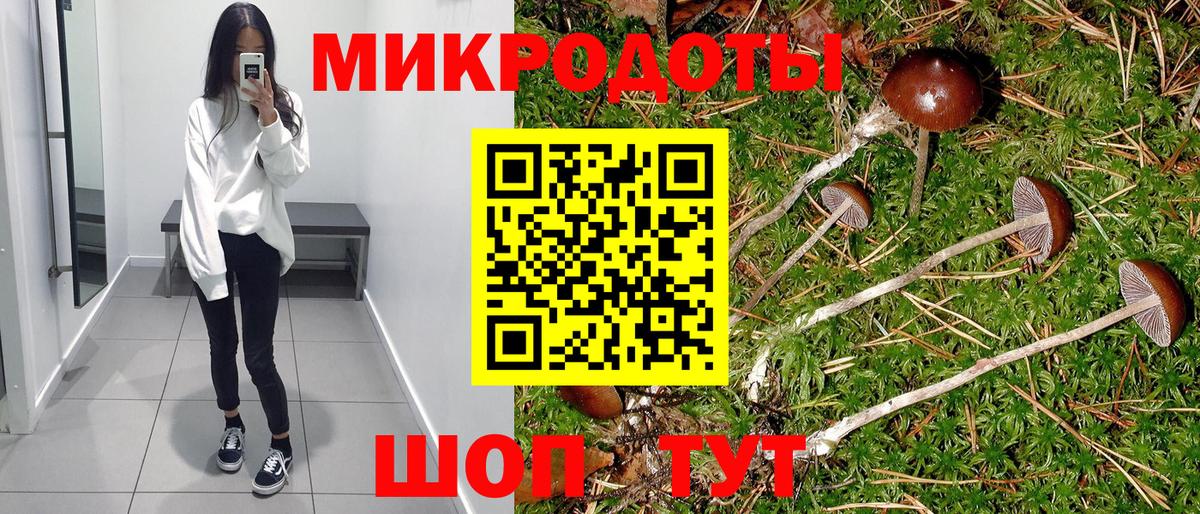Галлюциногенные грибы GOLDEN TEACHER  Вход с VPN  Галлюциногенные грибы MAGIC MUSHROOMS  Хабаровск 